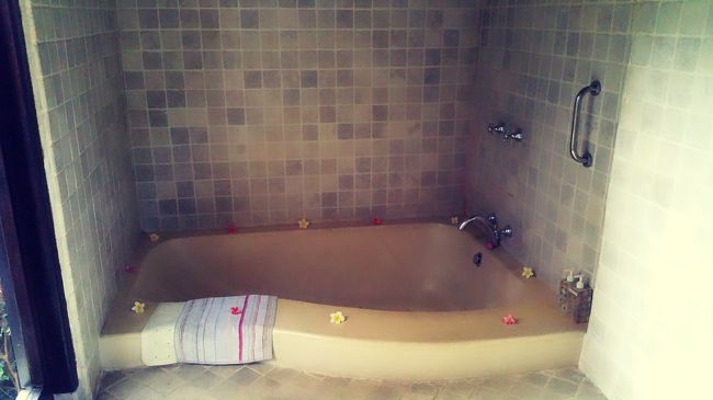 バスタブとレインシャワー。<br /><br />シャワーは5分くらいすると水になります٩(⌯꒦ິᵔ꒦ິ)۶ᵒᵐᵍᵎᵎᵎ<br /><br />レインシャワーは洗いにくい...