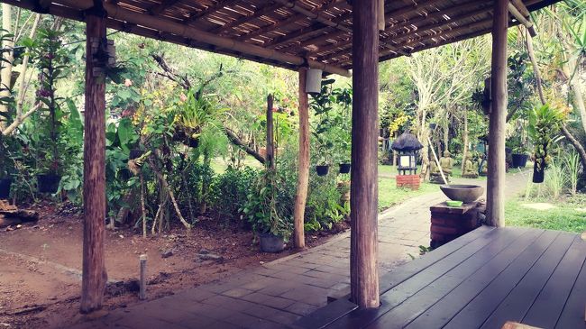 Ubudiの写真センスがないので伝わりにくいですが、ここ田んぼViewの安くて美味しいKedai D'Sawahに来ました。