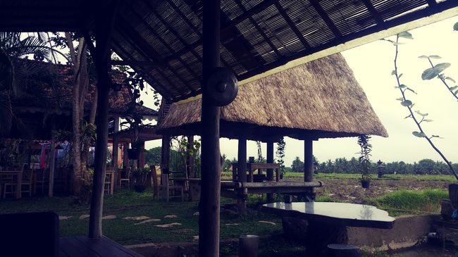 田んぼViewはこっちだったｗｗｗ<br /><br />でもちょっと枯れ気味...<br /><br />もっと写真撮りたかったんだけど、他のゲストも写ってしまうから止めといたの。<br /><br />