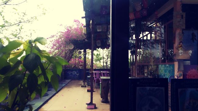 2階なのにガーデンみたいな感じもあるね。