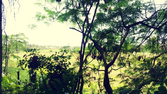 (*Ü*)ﾉ"ᵍᵒᵒᵈ ᵐᵒʳᐢⁱᐢᵍ ✲<br /><br />また来ちゃいました♪♪<br /><br />ティールーム(*ˊᵕˋ*)੭ .｡.:*♡