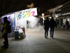 2月11日
近鉄奈良駅から歩いて東大寺大仏殿に向かいます。