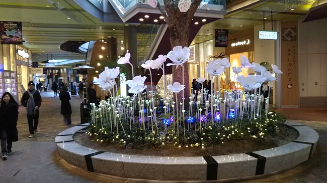 内部はこのとおり、大小様々なお店が立ち並び、とても綺麗です。