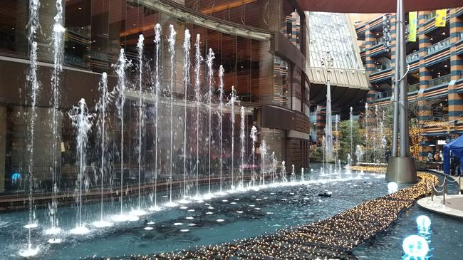 いいですね～！