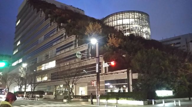 さて、日も暮れてきました。中州の屋台に戻って何か食べましょう。その前に寄り道です。アクロス福岡の特徴あるビルが見えてきました。