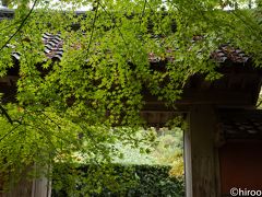 次に向かったのは、湖東三山のうちの一つ西明寺です。

西明寺は、平安時代の承和元年（834年）に三修上人が仁明天皇の勅願により開創された寺院です。CNNの日本の最も美しい場所３１選に選ばれた鎌倉時代の面影を残す日本の代表的な古刹です。