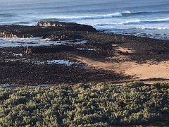 ペンギンパレードを見るためにフィリップ島へ。海がきれい。
パレードは残念ながら撮影禁止…。