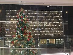 イルミネーションざんまい
