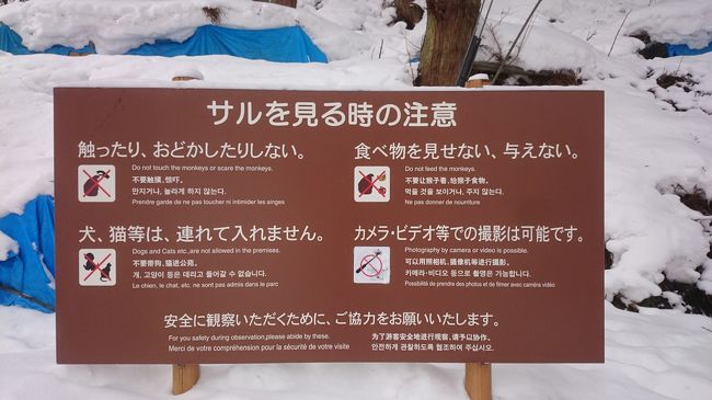1泊2日 長野 5 1 地獄谷野猿公苑と富倉そば 湯田中渋温泉郷 志賀高原 長野県 の旅行記 ブログ By れおんさん フォートラベル