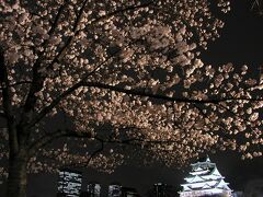 【大阪城公園（夜桜）①】
登録有形文化財・大阪城天守閣と夜桜
https://osakacastlepark.jp/
（2003年4月2日撮影）