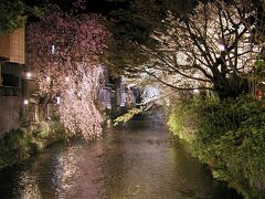 【祇園白川】（京都市東山区）
白川南通沿い
（2002年3月30日撮影）