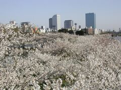 【桜之宮公園①】
https://osaka-info.jp/page/kema-sakuranomiya-park
（2002年3月28日撮影）