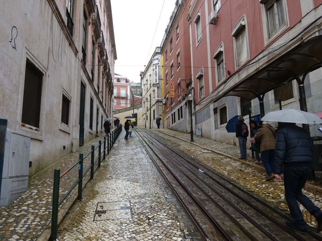 添乗員さんが「ケーブルカーに乗りますので、良かったら一緒にどうぞ！」と有り難き言葉