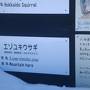 3０年来の夢、流氷を見に北海道へ①毎度可愛いペンギンちゃんと層雲峡氷瀑祭