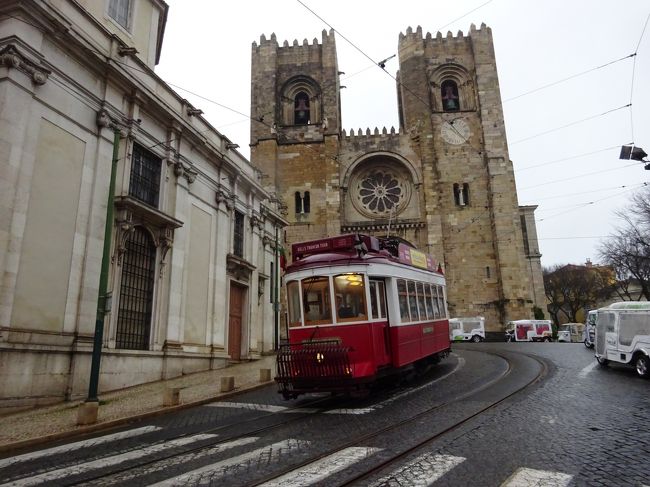 赤いのもいいね！