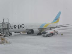 旭川空港のお天気は雪。着陸できない場合もあると言っていましたが、無事に旭川空港へ到着です！