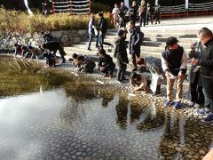 　【下鴨神社の御手洗池（みたらしのいけ）の「みずみくじ」】
　下鴨神社の名物といえば境内で引くことができる「みずみくじ」（300円）です。おみくじを引いたときには何も書かれていない紙ですが、御手洗池の水につけてしばらくすると文字が浮かんで来ます。
　池の岸辺には「みずみくじ」をする人が大勢いました。初詣に今年の運を占うのでしょう。
　