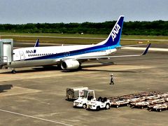 10:00、阿蘇くまもと空港（ANA1867）
搭乗ゲート４
機材は、B737-800
いざ、14年ぶりの沖縄へテイク・オフ！
