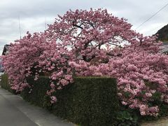 道にはみ出てしまっていますが、町的にはオッケーでしょう。普段人は少ないし。