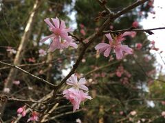 お寺巡りも終わり小腹が空いたので、このままトンネルを通って小町通りまで歩きます。