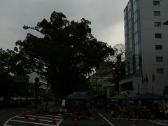 ２日目、日曜日　朝、　高知の朝市、日曜市を散策
野菜や果物が安かったがこのまま帰京しないので見るだけ(冷やすかだけで・・)
