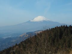 そして富士山。絶景です。
後で分かった事ですが、写真真ん中、芝が枯れている山は昨年10月に登った大野山なんですね。

大野山日帰り登山旅行記
https://4travel.jp/travelogue/11426786