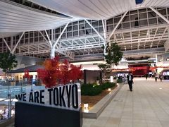 2018年10月17日、夜の羽田空港国際線です。
館内は紅葉で彩られ、秋の装いになっていました。