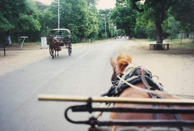 馬車に乗り、９世紀に建てられた城壁の跡をとどめる「タラバー門」、一見ゴシックの雰囲気も漂う「タビィニュ寺院」を間近で見て、「シュエサンドーパゴダ」に至った。<br /><br />