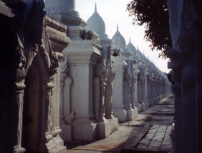 「クヴードォバゴダ」<br />境内に４m四方の小さな白いバゴダが、730も林立している。なんとも不思議な光景だ。ミンドン王が世界最大の経典をつくろうと2400名もの僧を集め、１m四方の大理石に経文を刻ませこれをバゴダに納めた。<br />　境内は静けさに満ち、スターツリーの巨木が小さな星形の可憐な花びらを、まわりに落としていた。　<br />