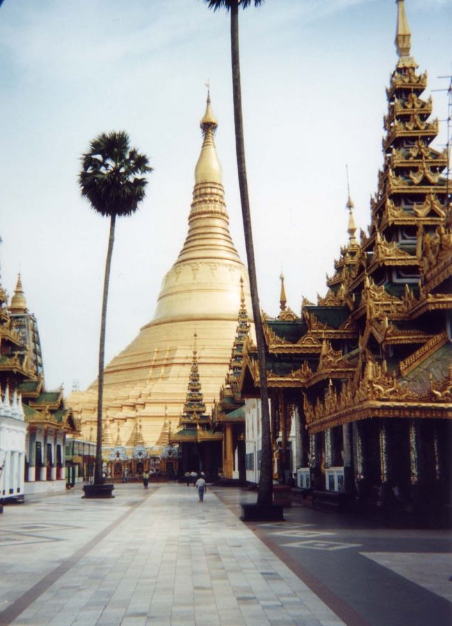 シングッタヤの丘に立つミャンマー仏教の総本山「シュエダゴォンバゴダ」に行った。<br />黄金に輝くパゴダは高さ99.4mもあり、他のそれを圧倒する大きさだ。上部には6000個以上の宝石がちりばめられ、先端につけられたダイヤモンドは76カラットだと言う。境内の広さも半端じゃない。ミャンマーの人にとってもあこがれの地で、熱心に祈りを捧げる人たちがいた。