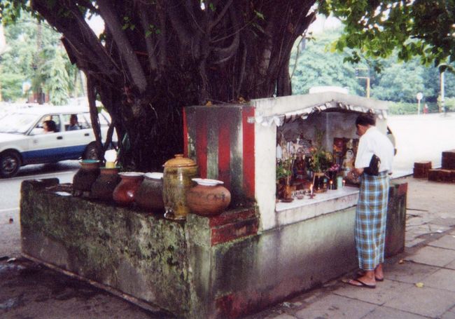 ■７日目(7/28）<br /><br />ミャンマー最後の日。そして夜の便で帰国となる。<br />予定では国立博物館等に出かけてみようと思っていたが、動ける状態ではない。ひっきりなしにトイレに駆け込む。油っこい食事が続いたので体が拒否反応を示したのか、アンサンマーケットで飲んだアイスコーヒーが良くなかったのか。・・・単なる食あたりではないのではないかも思った。<br />熱は下がってはいるが、ポンタールを飲み続けているからだろう。 ガイドブックを見たり、テレビを見たりしてすごす。 昨日が帰国の日だったら大変だったろう。下痢は改善されていないが、一日ゆっくりできたので長いフライトに何とか耐えられそうだ。<br /><br />夕刻の５時はすぐ来た。帰国の準備をして下に降りたら、心配そうにティーダがロビーにいた。<br /> すばらしい思い出を作ってくれたティーダに心から感謝した。<br />ミャンマーという国が、彼女によってぐっと近いものとなった。「あなたはまだ、バゴーやチャイティーヨを見ていないから、必ずもう一度来る必要がある」・・と言う。そうしたくなった。<br />空港で、最後の別れの挨拶をした。清楚で魅力的な女性であった。<br /><br />搭乗手続きを進めていたら、横に一人の30歳ぐらいの日本人女性がいた。出発ロビーでも一緒だったので話しかけた。ラオスを訪れたら東南アジアはすべて回ったと言うアジア好き。仙台からドムアン空港までチャーター機が夏だけ就航しているそうで、それで来たと言う。<br />彼女は看護師だそうで、強力な下痢止め剤ロベミンをくれた。近い将来、アジアのどこかの病院で看護婦として働く希望を持っている。バンコク・ドムアン空港まで同行したが、トランジットの時間が違うので着後すぐ別れた。<br />バンコク発TG622便は予定通り午前０時テイクオフした。５時間と少しで、関空着となる。<br />ロベミンがきいているのか、一回もそれのために立たなくて良かった。<br /><br />※ホテルの近くにて<br />