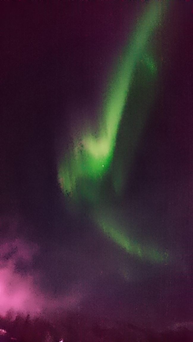 3日目<br /><br />チェナ温泉リゾートへ。<br />ここはリゾート内のアクティビティセンターで時間を気にせず好きな時にオーロラ鑑賞ができます。<br />私は夜10時から3時まで鑑賞しました。<br /><br />結果。<br /><br />私的には大満足のオーロラが見れました！<br /><br />2時から3時のオーロラがすごかったですが、主人も含め、2時に切り上げた方が多く、見れなかった方は残念でした…。