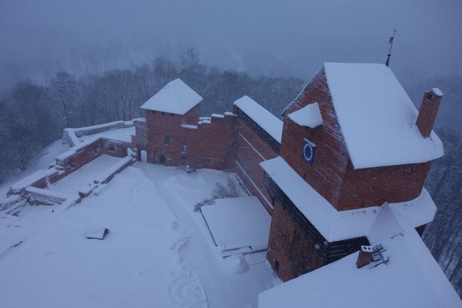 塔のいちばん上からから撮影