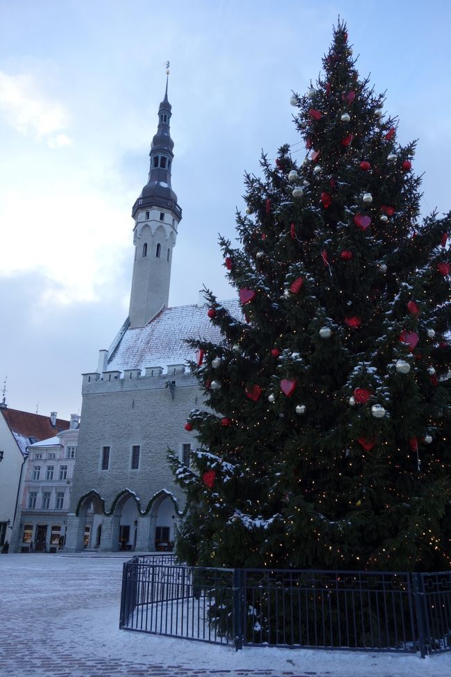1月末ですが広場には大きなツリー。