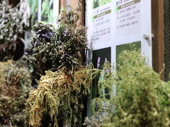 その後は青草巷
龍山寺などを散策