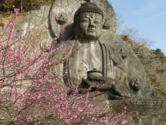 大仏（薬師瑠璃光如来）
天明三年（1783年）に3年かけて彫刻したものが原型でその後昭和41年に4カ年
薬師如来の名からわかるように病苦を救う医薬の仏様です。
源頼朝は石橋山の戦いに敗れた後、房州に逃れ再起を図った折に日本寺で武運を祈願したといわれています。
日本で一番大きい大仏様。