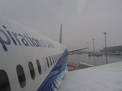 出発時の羽田空港は時折吹雪のような雪。気温は何とかプラスの3℃。