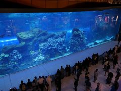 ドバイ・モールといえばここは必見。

ドバイ水族館の一部が無料で見れる場所。

しかもその水槽は、幅32.9m、高さ8.3m、厚さ75cmで世界最大のアクリルパネルである。

何かと世界一にこだわっているドバイ。
なんだか、巨大なピラミッドや神殿を造って権力を誇示した古代エジプトのファラオとやってることがあまり変わらないような気がしてきた。