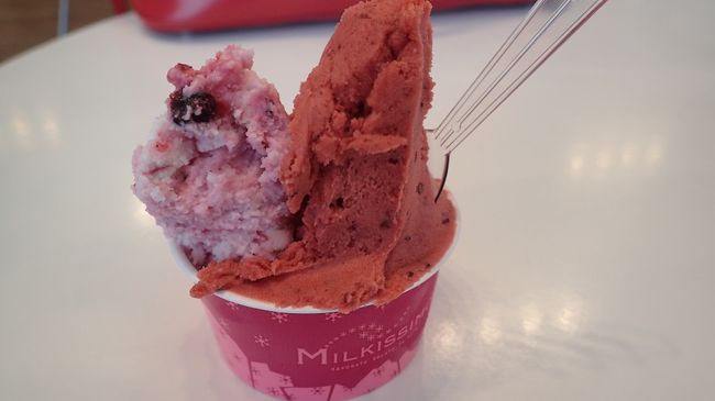 五稜郭タワーの下でジェラートを購入。<br />寒い日に暖かい室内で食べるジェラートって何で美味しいんでしょうか。