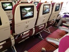 成田からは、タイ国際航空でバンコク経由デリーへ。成田－バンコク間はＵＳＢジャックも付いた比較的新しい機材で快適に過ごせました。