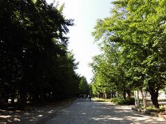 地下鉄に乗って中島公園駅に到着。地上に出るとそこは中島公園です。爽やか～！