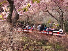 ミニチュア列車の小さな線路に沿って、さらに15分ほど山の上に向かいます。
車は侵入できませんが、道は舗装されています。
結構急で、年配の方はしんどそうにしていました。
杉林に囲まれているので、花粉症の夫もしんどそう。