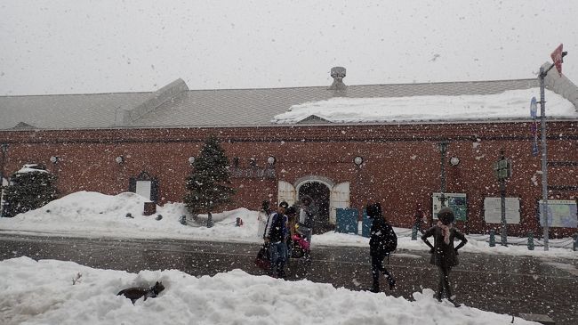ご飯を食べたら赤レンガ倉庫へ。<br />見てのとおりかなり吹雪いてました。