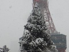 雪の大好き
さっぽろテレビ塔