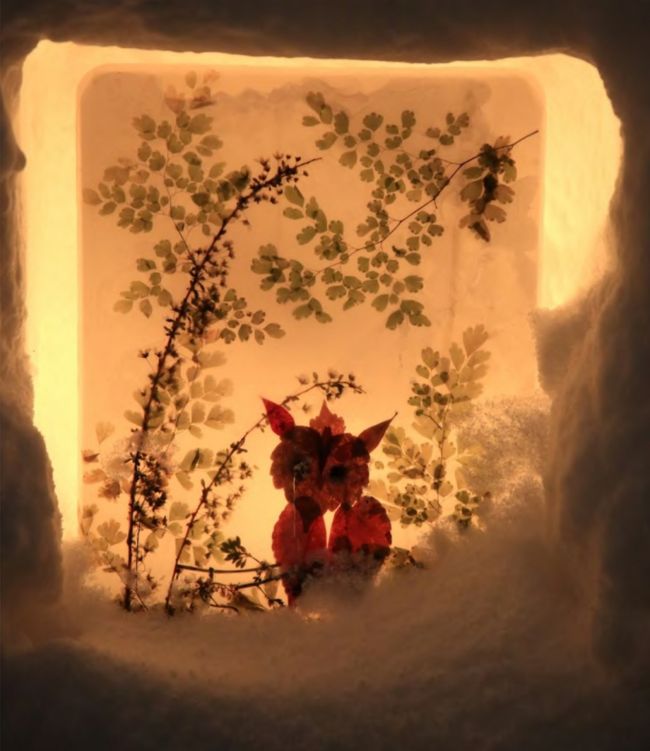 あーーー！ キツネや～ん(*ﾟ▽ﾟ*)   めんこ～い♪<br />