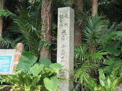 米原にある八重山ヤシの群生地
内部の写真はないですが、恐竜が出て来ても
不思議ではない位の雰囲気