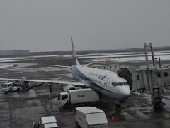 19年3月北海道鉄道旅行1 Nh1181便で新千歳空港へ 北海道の旅行記 ブログ By Koreanrailfanさん フォートラベル