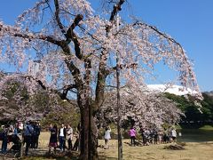 まずは小石川後楽園へ。