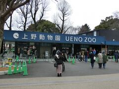 上野に移動して動物園に入ります