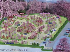 園内の地図です。

先週までは二分咲きで入園料は500円、800円でしたが・・・3月からは見頃になり、1500円になったようです。